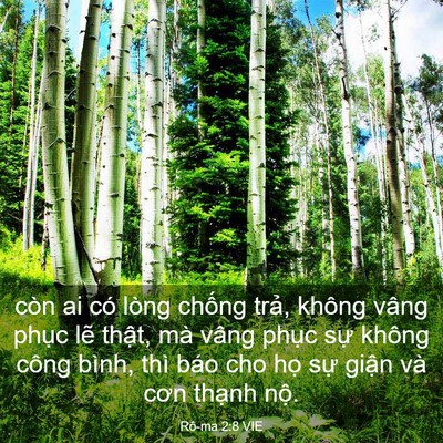Picture 03 - Rô-ma 2:8 VIE - còn ai có lòng chống trả, không vâng - Bible Verse Picture
