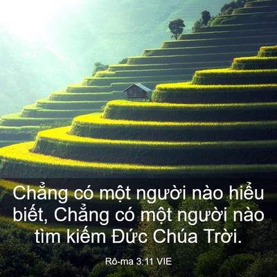 Picture 03 - Rô-ma 3:11 VIE - Chẳng có một người nào hiểu biết, - Bible Verse Picture
