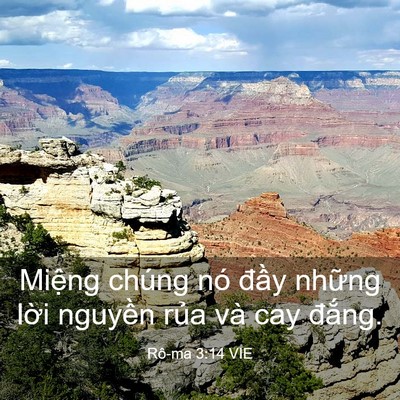 Picture 03 - Rô-ma 3:14 VIE - Miệng chúng nó đầy những lời nguyền - Bible Verse Picture