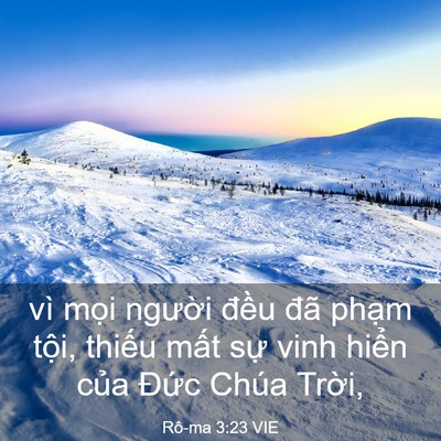 Picture 03 - Rô-ma 3:23 VIE - vì mọi người đều đã phạm tội, - Bible Verse Picture