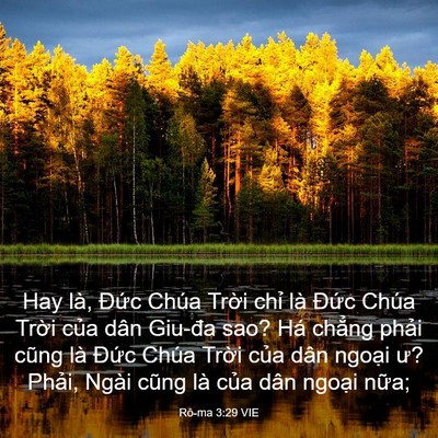 Picture 03 - Rô-ma 3:29 VIE - Hay là, Đức Chúa Trời chỉ là Đức - Bible Verse Picture