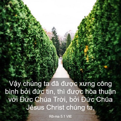Picture 03 - Rô-ma 5:1 VIE - Vậy chúng ta đã được xưng công bình - Bible Verse Picture