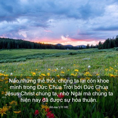 Picture 03 - Rô-ma 5:11 VIE - Nào những thế thôi, chúng ta lại còn - Bible Verse Picture