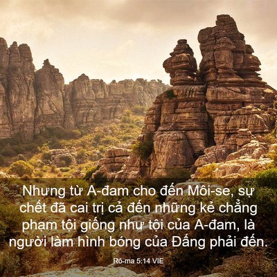 Picture 03 - Rô-ma 5:14 VIE - Nhưng từ A-đam cho đến Môi-se, sự - Bible Verse Picture