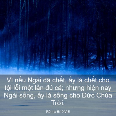 Picture 03 - Rô-ma 6:10 VIE - Vì nếu Ngài đã chết, ấy là chết cho - Bible Verse Picture