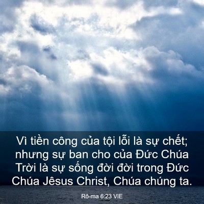 Picture 03 - Rô-ma 6:23 VIE - Vì tiền công của tội lỗi là sự - Bible Verse Picture