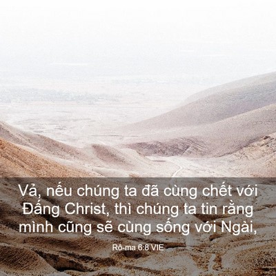 Picture 03 - Rô-ma 6:8 VIE - Vả, nếu chúng ta đã cùng chết với - Bible Verse Picture