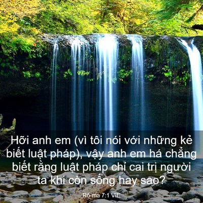 Picture 03 - Rô-ma 7:1 VIE - Hỡi anh em (vì tôi nói với những kẻ - Bible Verse Picture