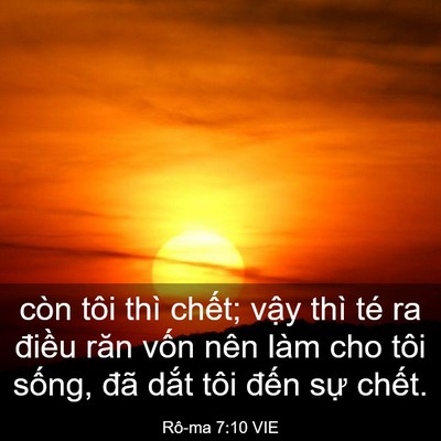 Picture 03 - Rô-ma 7:10 VIE - còn tôi thì chết; vậy thì té ra điều - Bible Verse Picture