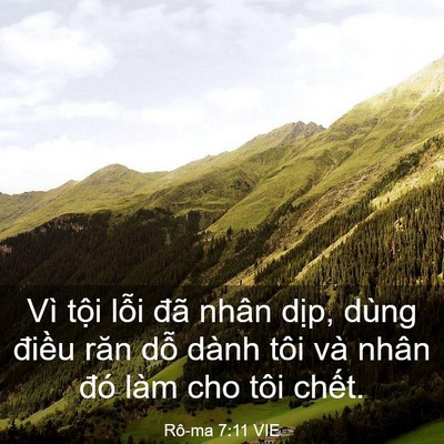 Picture 03 - Rô-ma 7:11 VIE - Vì tội lỗi đã nhân dịp, dùng điều - Bible Verse Picture