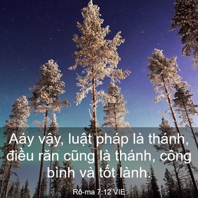 Picture 03 - Rô-ma 7:12 VIE - Aáy vậy, luật pháp là thánh, điều răn - Bible Verse Picture