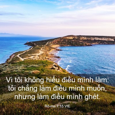 Picture 03 - Rô-ma 7:15 VIE - Vì tôi không hiểu điều mình làm: tôi - Bible Verse Picture