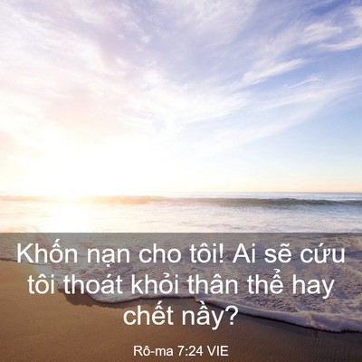 Picture 03 - Rô-ma 7:24 VIE - Khốn nạn cho tôi! Ai sẽ cứu tôi thoát - Bible Verse Picture