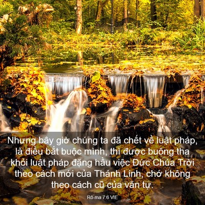Picture 03 - Rô-ma 7:6 VIE - Nhưng bây giờ chúng ta đã chết về - Bible Verse Picture