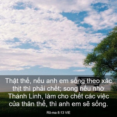 Picture 03 - Rô-ma 8:13 VIE - Thật thế, nếu anh em sống theo xác - Bible Verse Picture