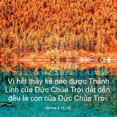 Picture 03 - Rô-ma 8:14 VIE - Vì hết thảy kẻ nào được Thánh Linh - Bible Verse Picture