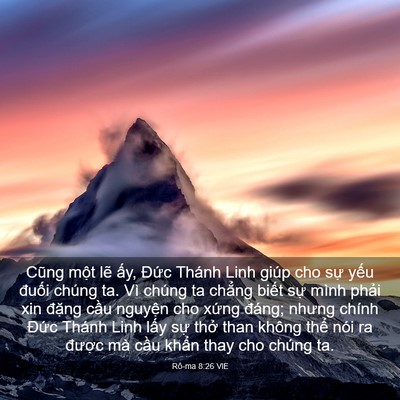 Picture 03 - Rô-ma 8:26 VIE - Cũng một lẽ ấy, Đức Thánh Linh giúp - Bible Verse Picture