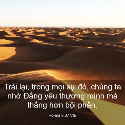 Picture 03 - Rô-ma 8:37 VIE - Trái lại, trong mọi sự đó, chúng ta - Bible Verse Picture