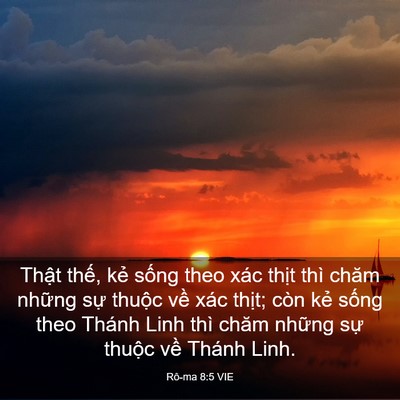 Picture 03 - Rô-ma 8:5 VIE - Thật thế, kẻ sống theo xác thịt thì - Bible Verse Picture