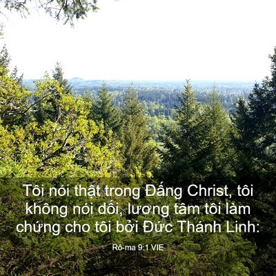 Picture 03 - Rô-ma 9:1 VIE - Tôi nói thật trong Đấng Christ, tôi - Bible Verse Picture