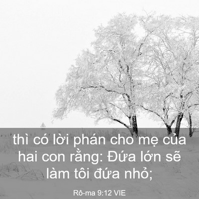 Picture 03 - Rô-ma 9:12 VIE - thì có lời phán cho mẹ của hai con - Bible Verse Picture