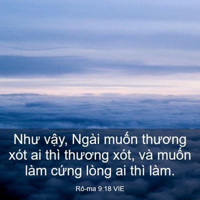 Picture 03 - Rô-ma 9:18 VIE - Như vậy, Ngài muốn thương xót ai thì - Bible Verse Picture