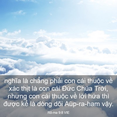 Picture 03 - Rô-ma 9:8 VIE - nghĩa là chẳng phải con cái thuộc về - Bible Verse Picture