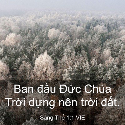 Picture 03 - Sáng Thế 1:1 VIE - Ban đầu Đức Chúa Trời dựng nên trời - Bible Verse Picture