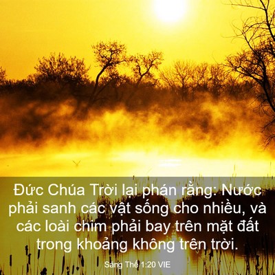 Picture 03 - Sáng Thế 1:20 VIE - Đức Chúa Trời lại phán rằng: Nước - Bible Verse Picture