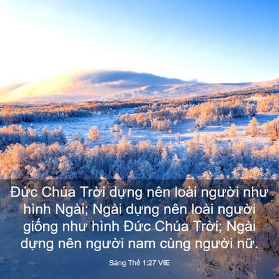 Picture 03 - Sáng Thế 1:27 VIE - Đức Chúa Trời dựng nên loài người - Bible Verse Picture
