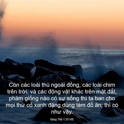 Picture 03 - Sáng Thế 1:30 VIE - Còn các loài thú ngoài đồng, các loài - Bible Verse Picture