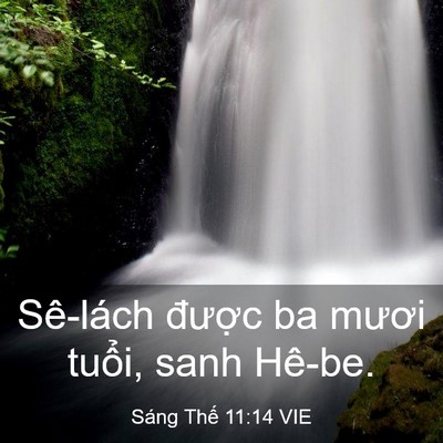 Picture 03 - Sáng Thế 11:14 VIE - Sê-lách được ba mươi tuổi, sanh - Bible Verse Picture