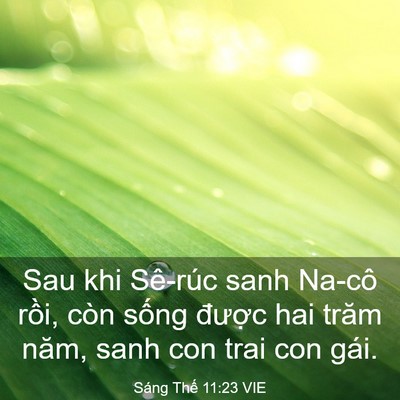 Picture 03 - Sáng Thế 11:23 VIE - Sau khi Sê-rúc sanh Na-cô rồi, còn sống - Bible Verse Picture