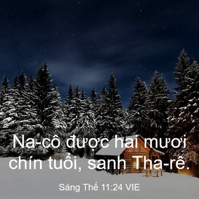 Picture 03 - Sáng Thế 11:24 VIE - Na-cô được hai mươi chín tuổi, sanh - Bible Verse Picture