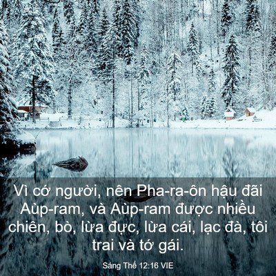 Picture 03 - Sáng Thế 12:16 VIE - Vì cớ người, nên Pha-ra-ôn hậu đãi - Bible Verse Picture