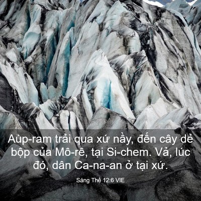 Picture 03 - Sáng Thế 12:6 VIE - Aùp-ram trải qua xứ nầy, đến cây dẻ - Bible Verse Picture