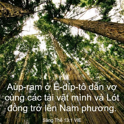 Picture 03 - Sáng Thế 13:1 VIE - Aùp-ram ở Ê-díp-tô dẫn vợ cùng các - Bible Verse Picture