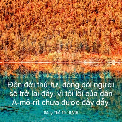 Picture 03 - Sáng Thế 15:16 VIE - Đến đời thứ tư, dòng dõi ngươi sẽ - Bible Verse Picture