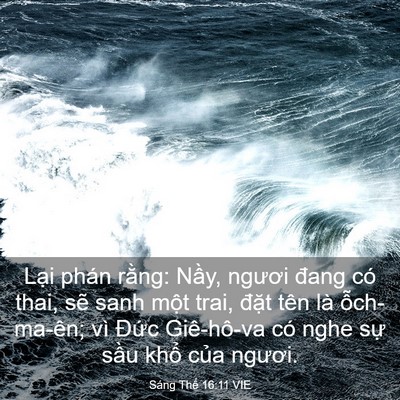 Picture 03 - Sáng Thế 16:11 VIE - Lại phán rằng: Nầy, ngươi đang có - Bible Verse Picture