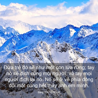 Picture 03 - Sáng Thế 16:12 VIE - Đứa trẻ đó sẽ như một con lừa - Bible Verse Picture