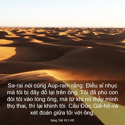 Picture 03 - Sáng Thế 16:5 VIE - Sa-rai nói cùng Aùp-ram rằng: Điều sỉ - Bible Verse Picture