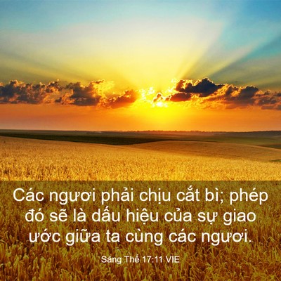 Picture 03 - Sáng Thế 17:11 VIE - Các ngươi phải chịu cắt bì; phép đó - Bible Verse Picture