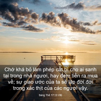 Picture 03 - Sáng Thế 17:13 VIE - Chớ khá bỏ làm phép cắt bì cho ai sanh - Bible Verse Picture