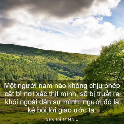Picture 03 - Sáng Thế 17:14 VIE - Một người nam nào không chịu phép cắt - Bible Verse Picture