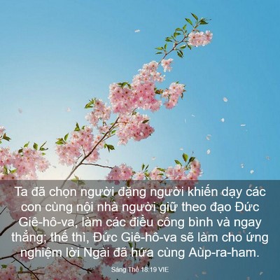 Picture 03 - Sáng Thế 18:19 VIE - Ta đã chọn người đặng người khiến - Bible Verse Picture