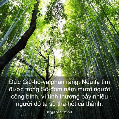Picture 03 - Sáng Thế 18:26 VIE - Đức Giê-hô-va phán rằng: Nếu ta tìm - Bible Verse Picture