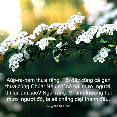 Picture 03 - Sáng Thế 18:31 VIE - Aùp-ra-ham thưa rằng: Tôi đây cũng cả - Bible Verse Picture