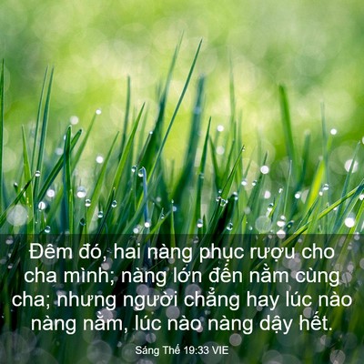 Picture 03 - Sáng Thế 19:33 VIE - Đêm đó, hai nàng phục rượu cho cha - Bible Verse Picture