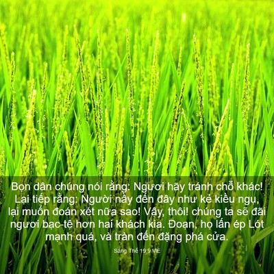 Picture 03 - Sáng Thế 19:9 VIE - Bọn dân chúng nói rằng: Ngươi hãy - Bible Verse Picture