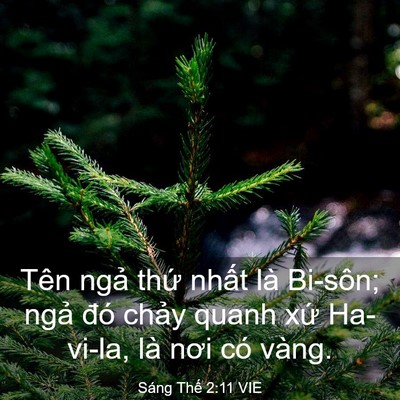 Picture 03 - Sáng Thế 2:11 VIE - Tên ngả thứ nhất là Bi-sôn; ngả đó - Bible Verse Picture